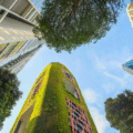 Turning Sustainability Into a Customer Experience Strategy in UAE Retail